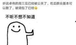 卓伟爆料被盗号视频大全,揭秘被盗号视频背后的真相与疑云